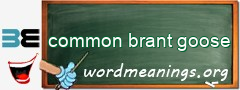 WordMeaning blackboard for common brant goose